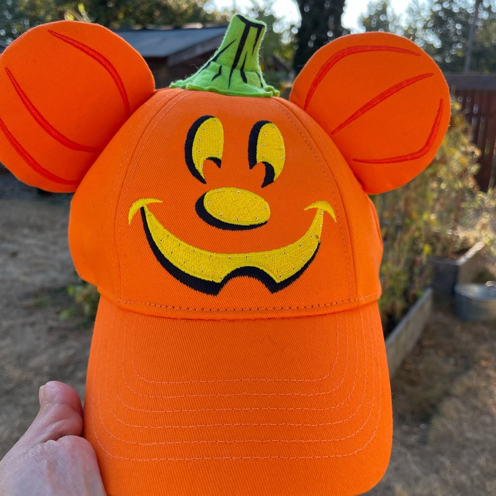 Disney pumpkin hat
